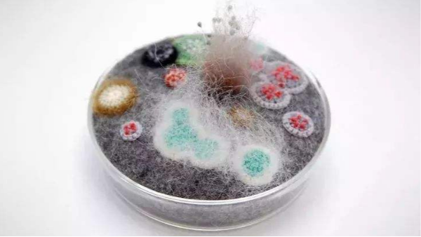 工業抽濕機應用領域